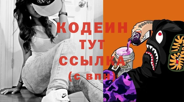 мдпв Инта