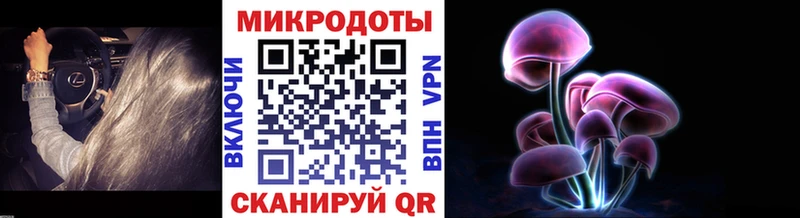 где найти Олонец Галлюциногенные грибы GOLDEN TEACHER